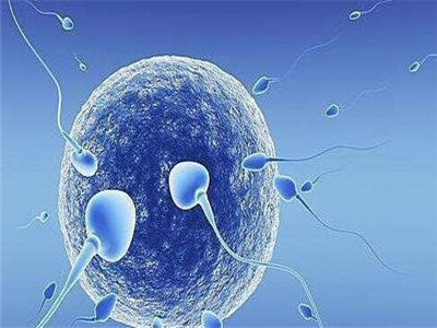 人工孕妈代怀咨询联系电话
